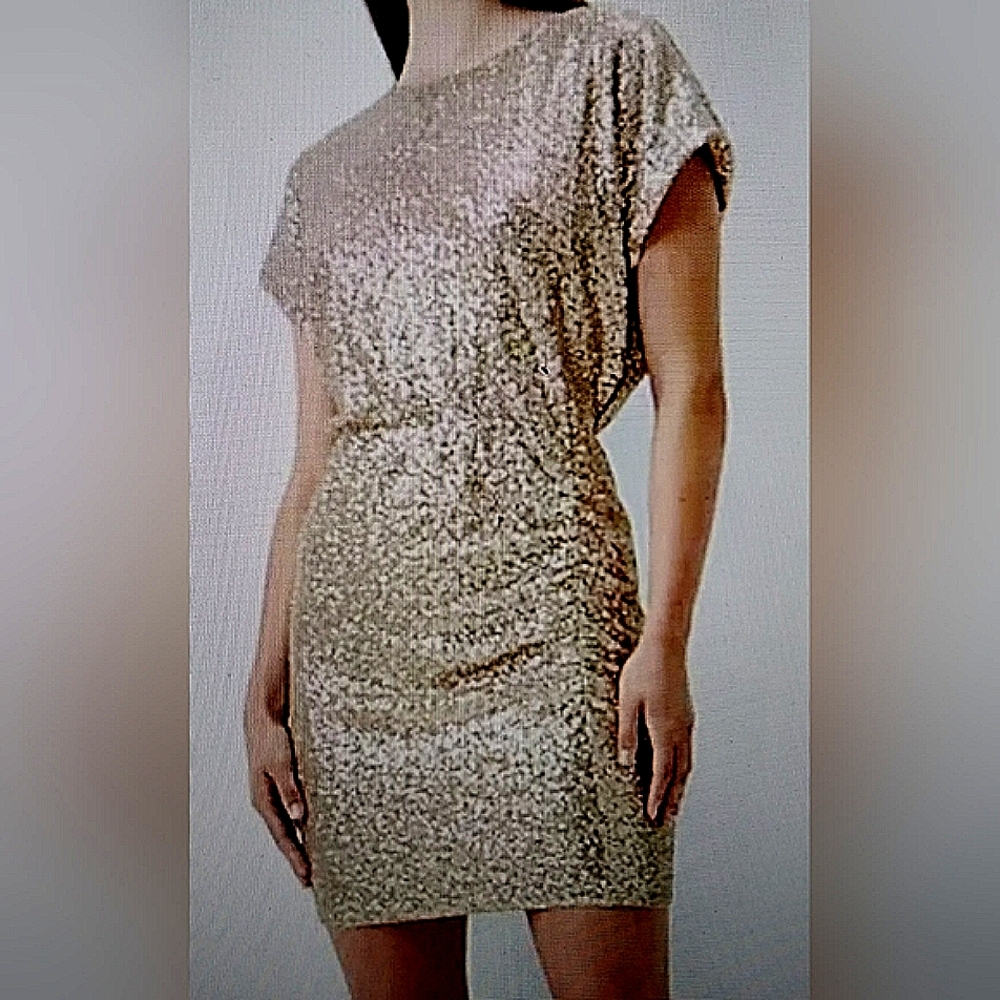 NWT Express Champagne Short Sleeve Sequined Ruched Mini Dress Size Small - Picture 16 of 16